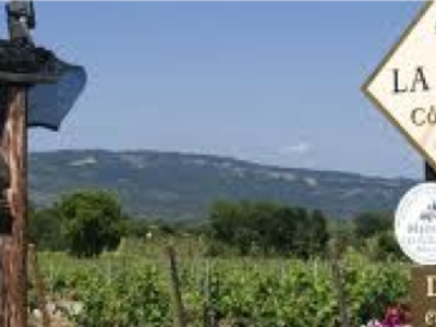 Savoir-Faire SOGETRA - CAVE DE LA MOTTE